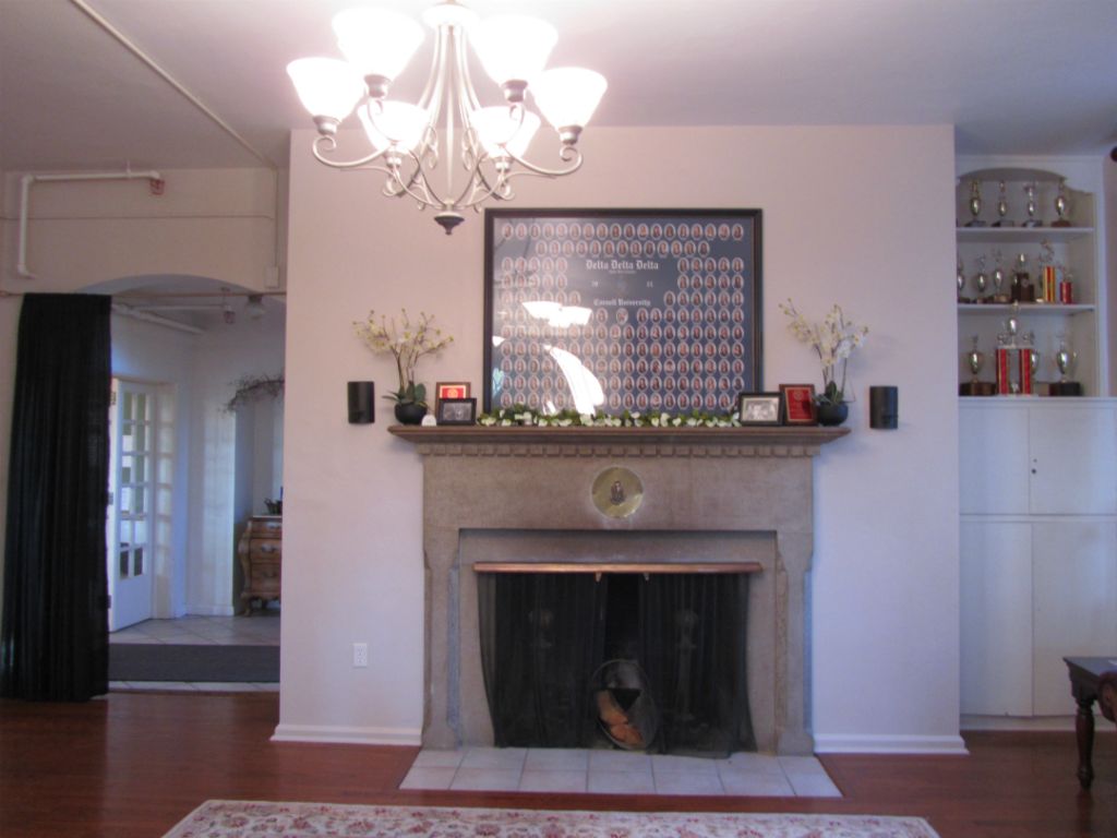 Living room fireplace